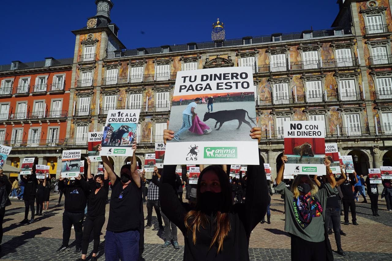 Ayuntamientos de la Comunidad de Madrid subvencionan con 2 millones de euros anuales a los festejos crueles con animales