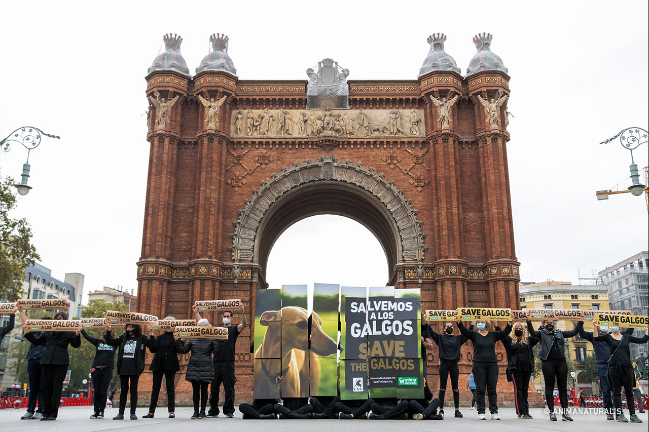 AnimaNaturalis protesta en Barcelona contra el abuso a los galgos