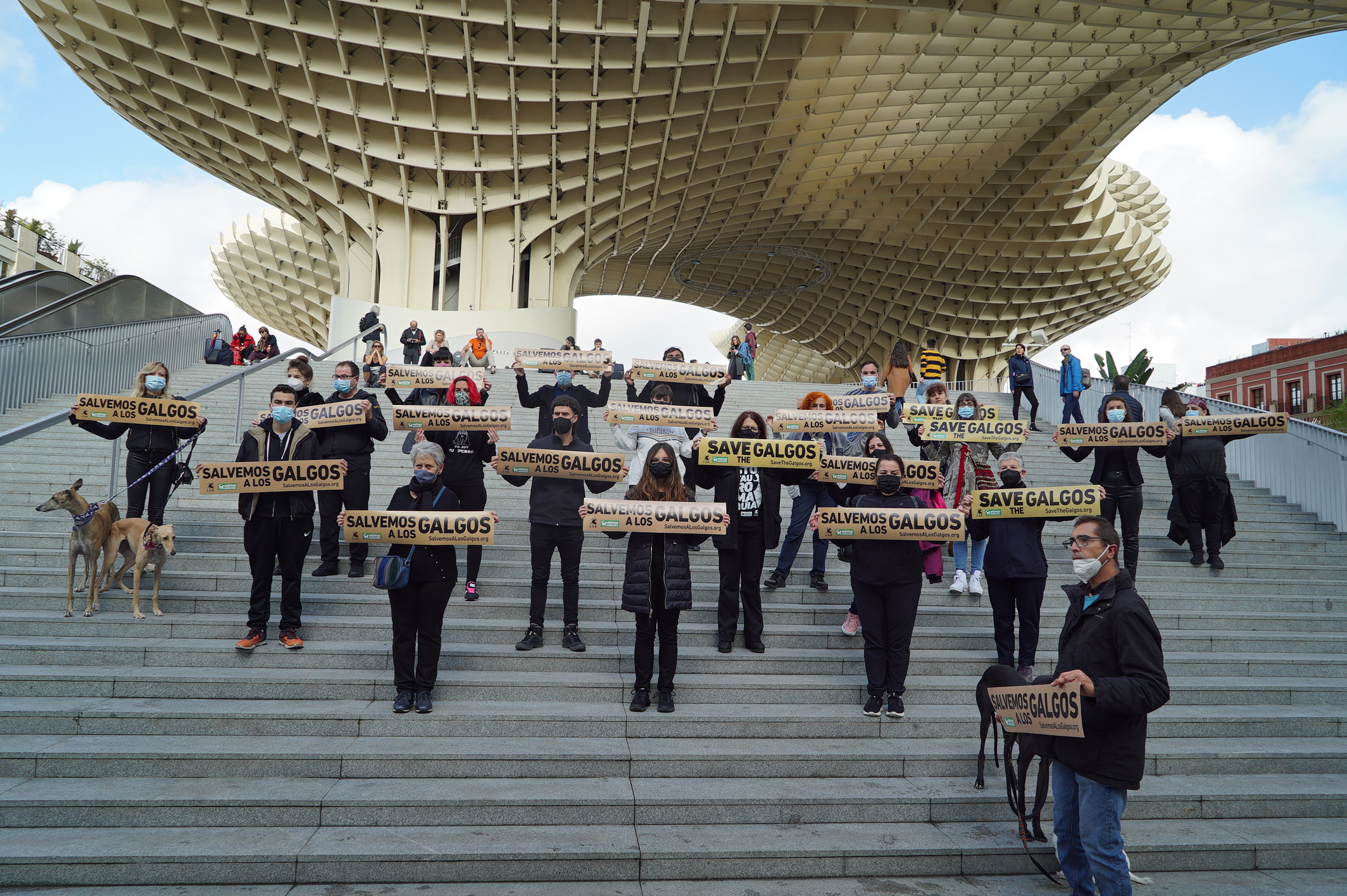 Nos manifestamos en Sevilla por la defensa de los galgos.