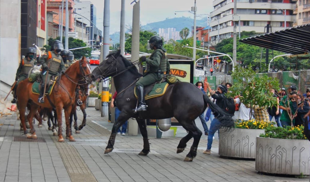 AnimaNaturalis en Colombia realizó ratificación de denuncia contra Carabineros por uso de animales en protestas