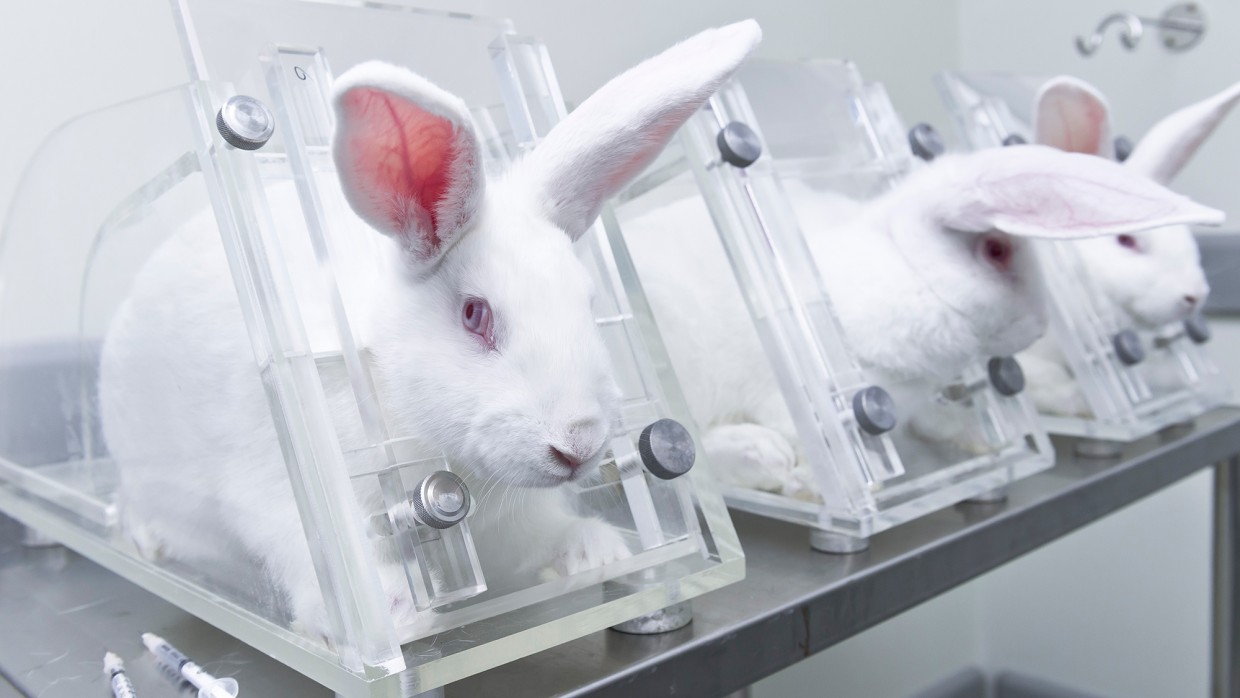 Comisión Europea se niega a tomar medidas concretas para eliminar gradualmente los experimentos con animales