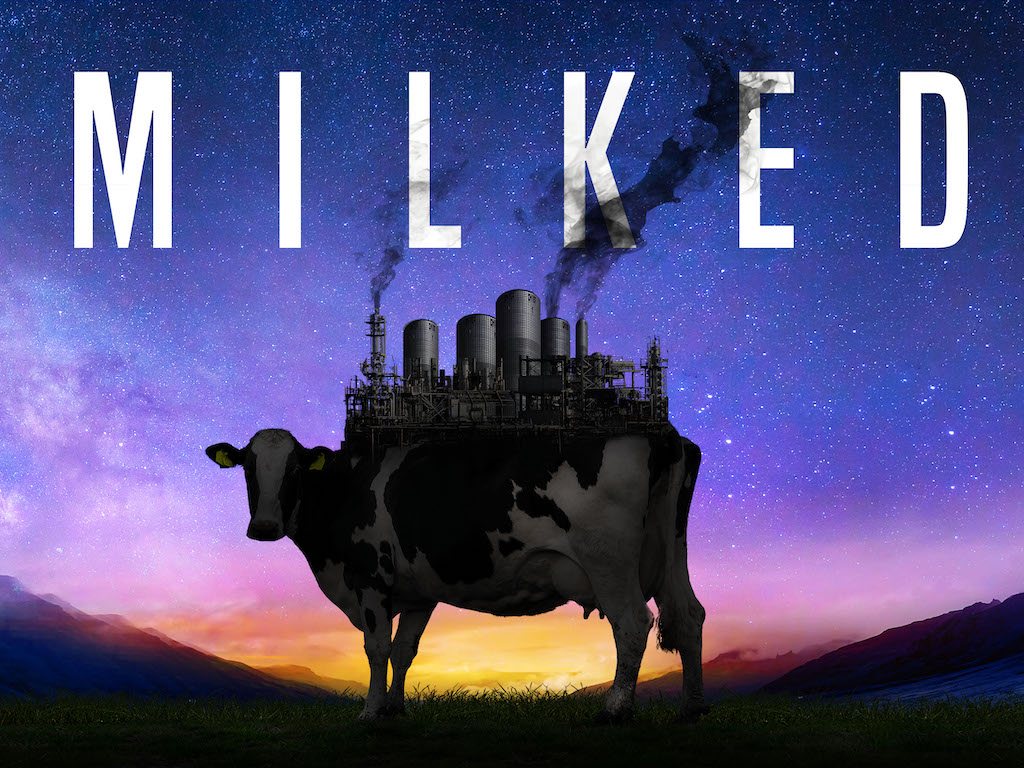 MILKED: el nuevo documental que expone a la industria láctea como nunca antes