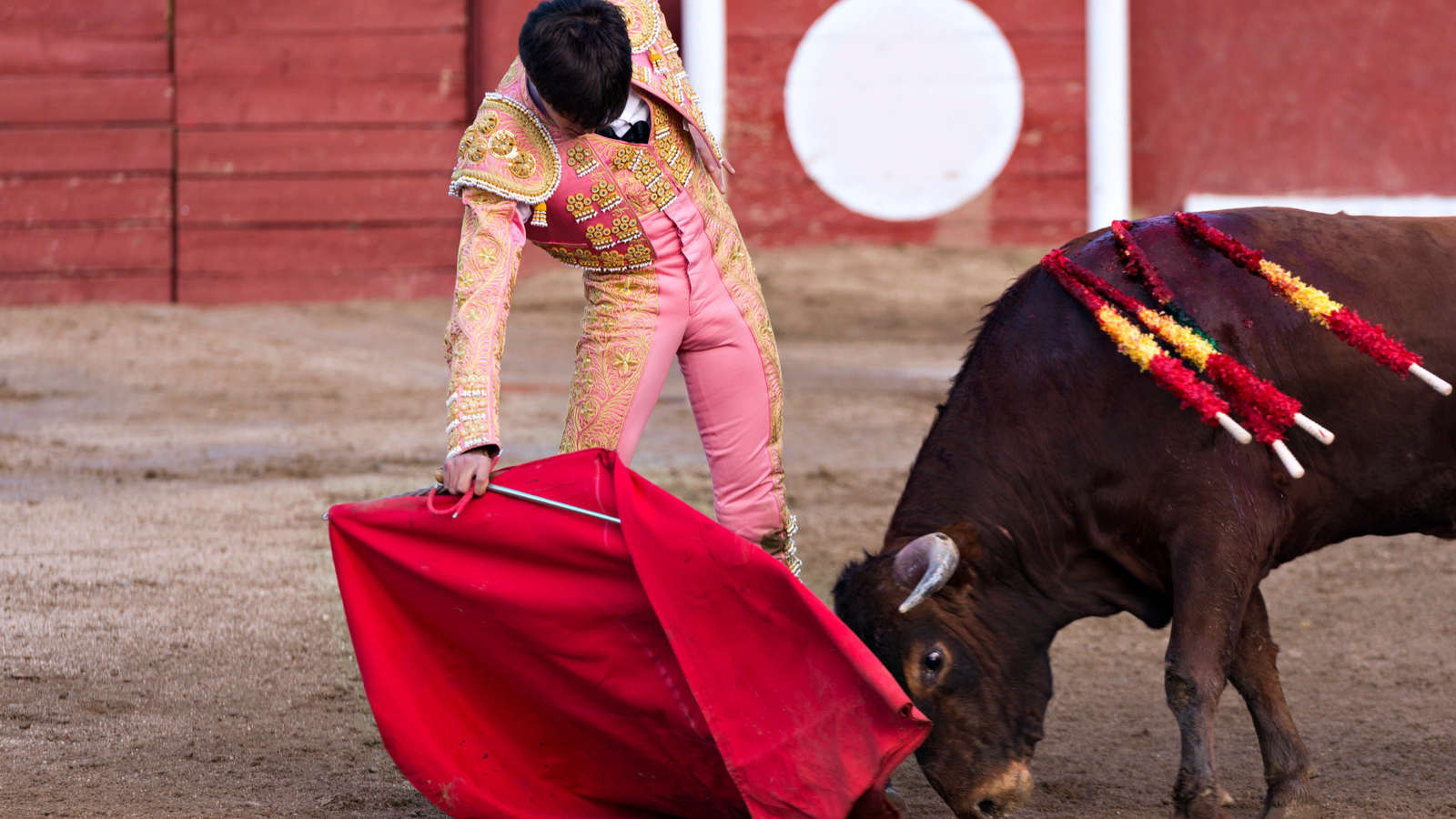 Proponen impedir por ley que se televisen corridas de toros en horario infantil