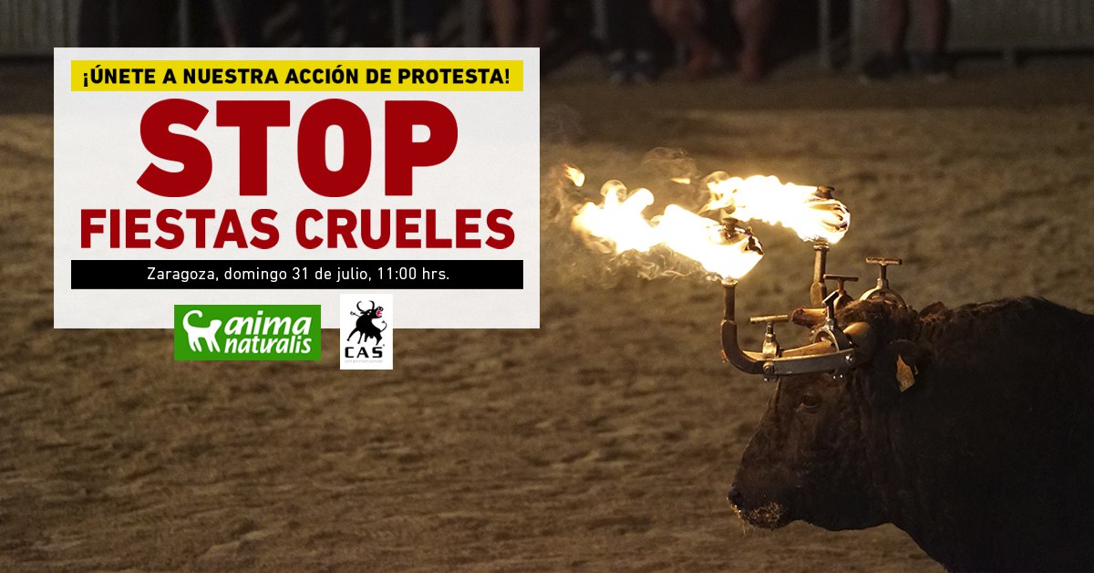 ¡Asiste a la concentración contra las fiestas crueles en Zaragoza! 