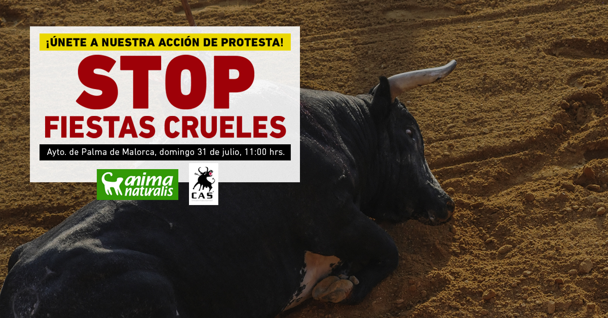 ¡Asiste a la acción contra la feria taurina en Palma de Mallorca!