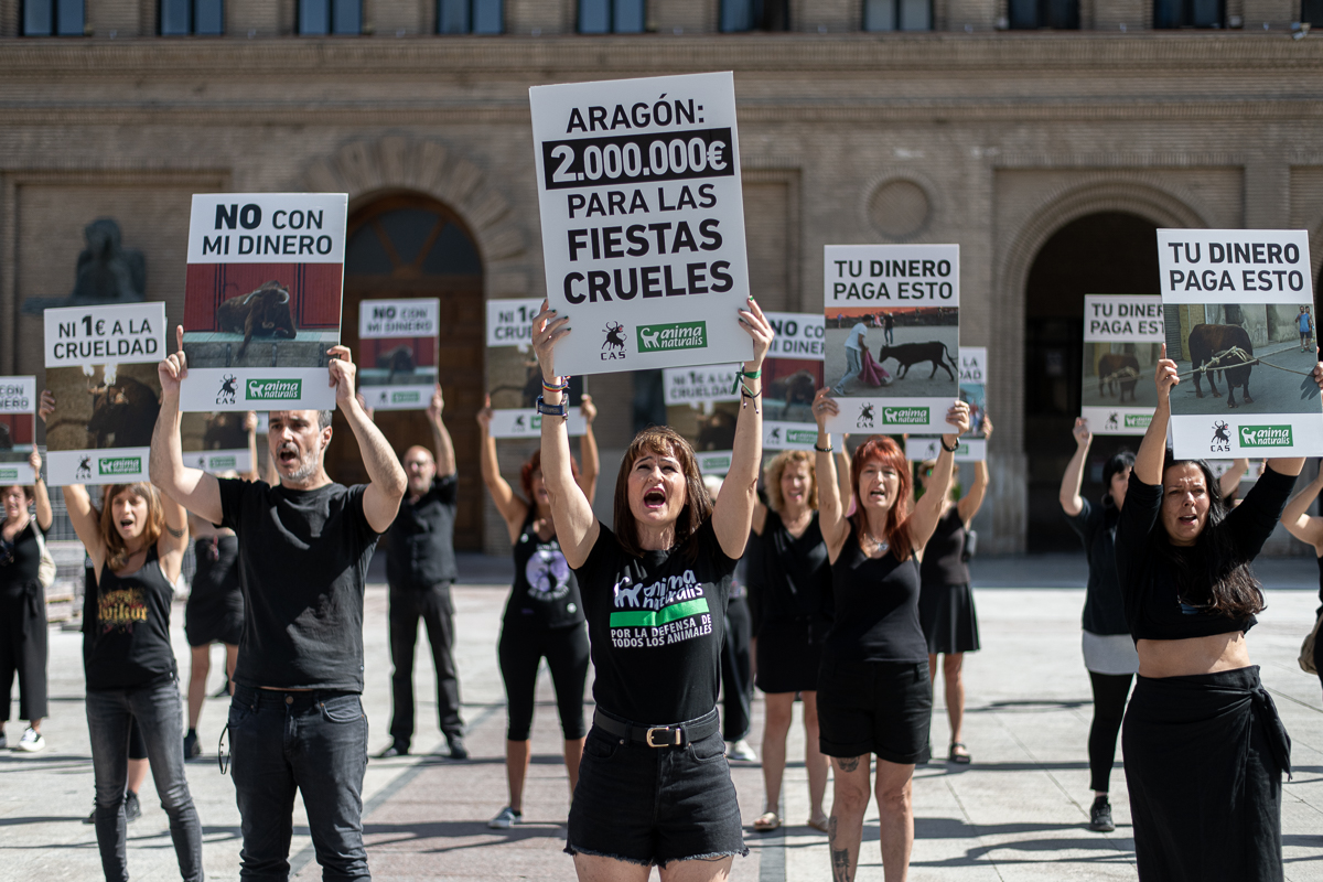 Protesta en Zaragoza contra los casi 2.500.000 € destinados a los festejos crueles con animales