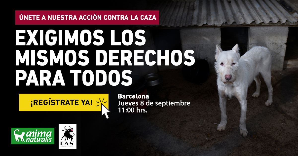 ¡Impactante protesta por las otras víctimas de la caza en Barcelona!