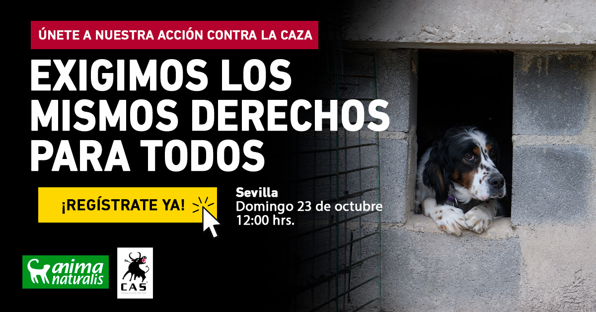 ¡Asiste a la impactante protesta que realizamos por las víctimas de la caza en Sevilla!