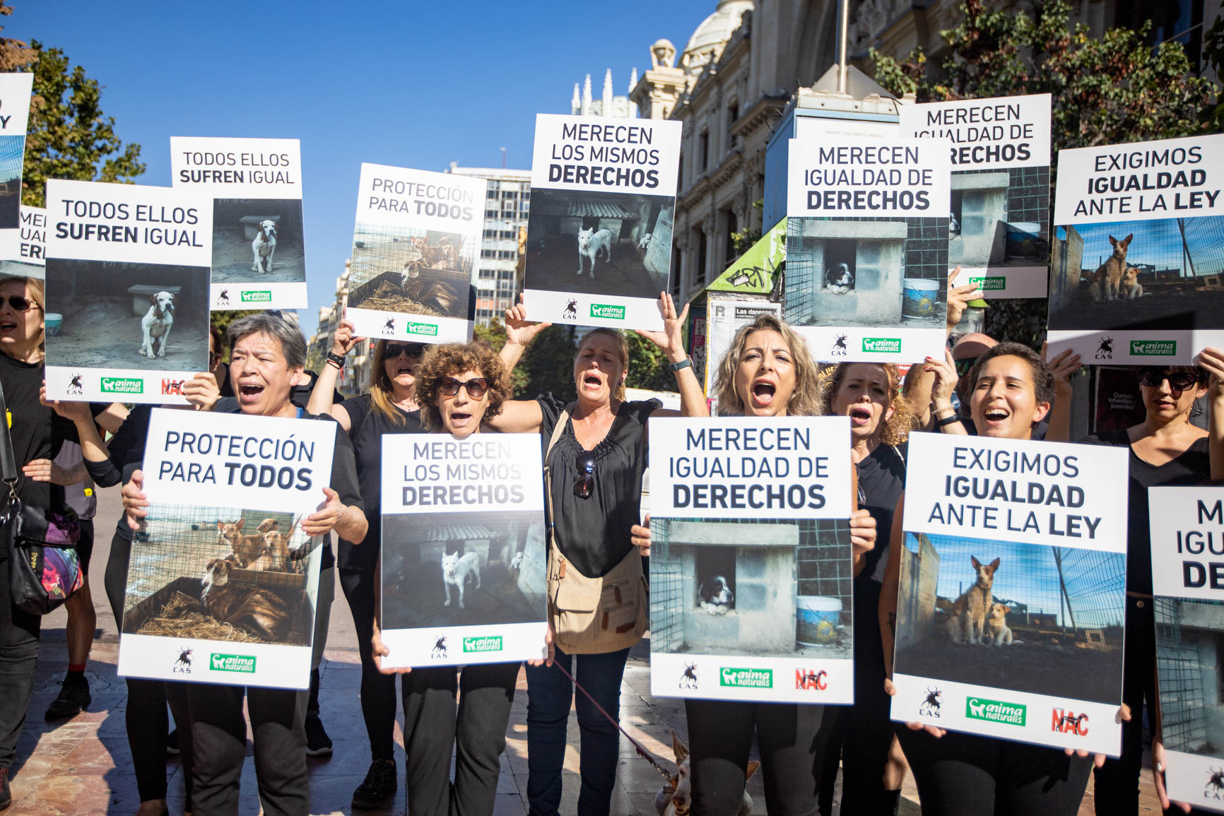 Animalistas exigen en Valencia que ningún perro quede excluído de la Ley