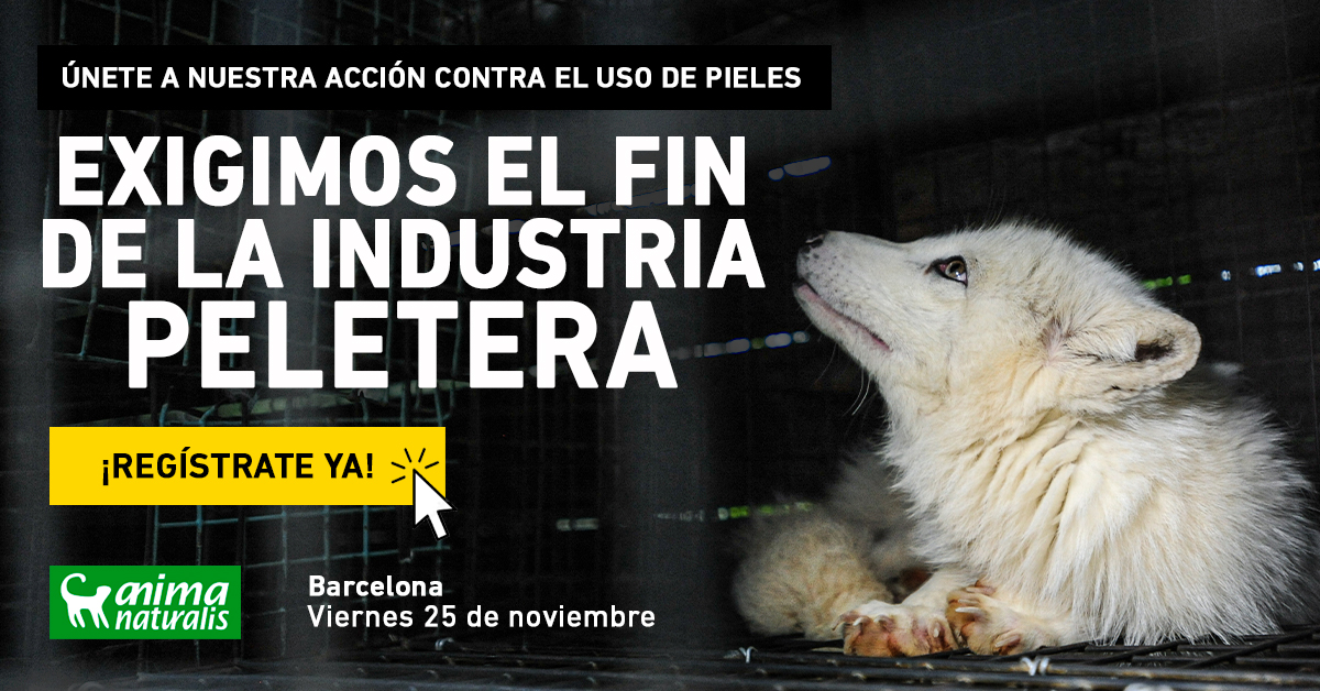 ¡Acción por el fin de la industria peletera en Barcelona!