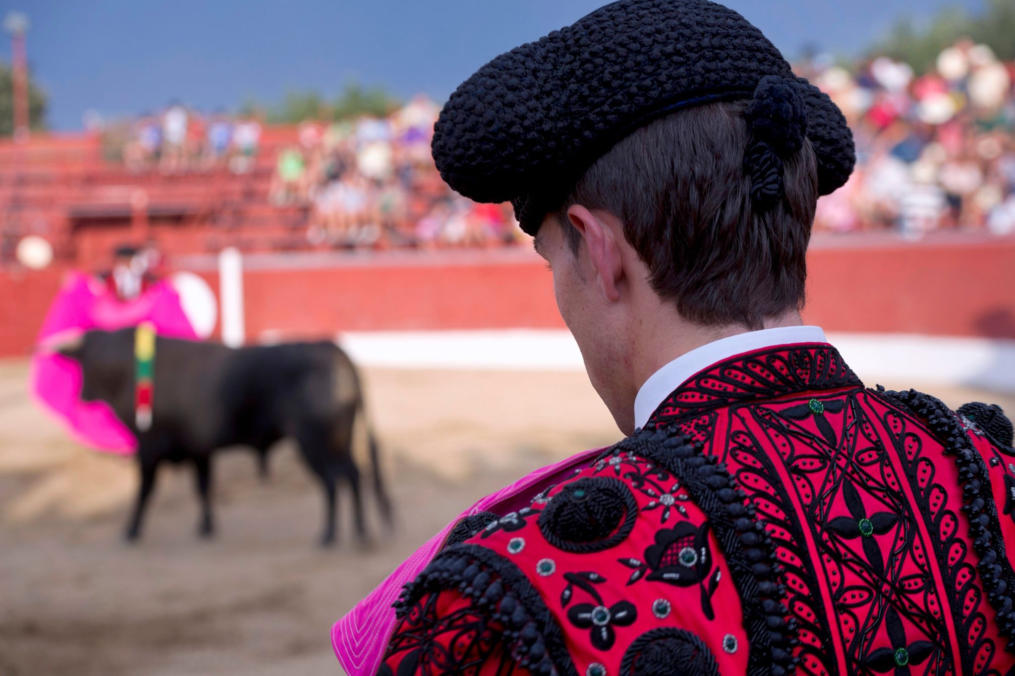 Senado de Colombia aprueba la prohibición de las corridas de toros