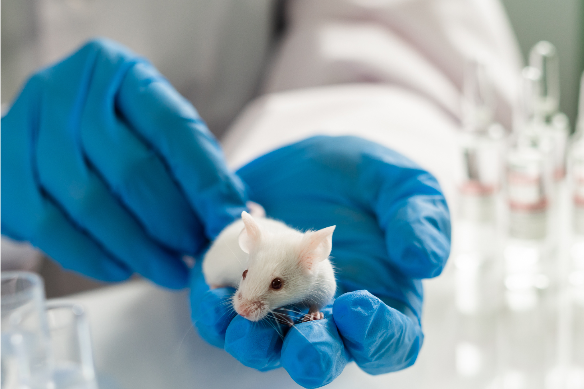 Los nuevos medicamentos  ya no tendrán que testarse en animales en EEUU