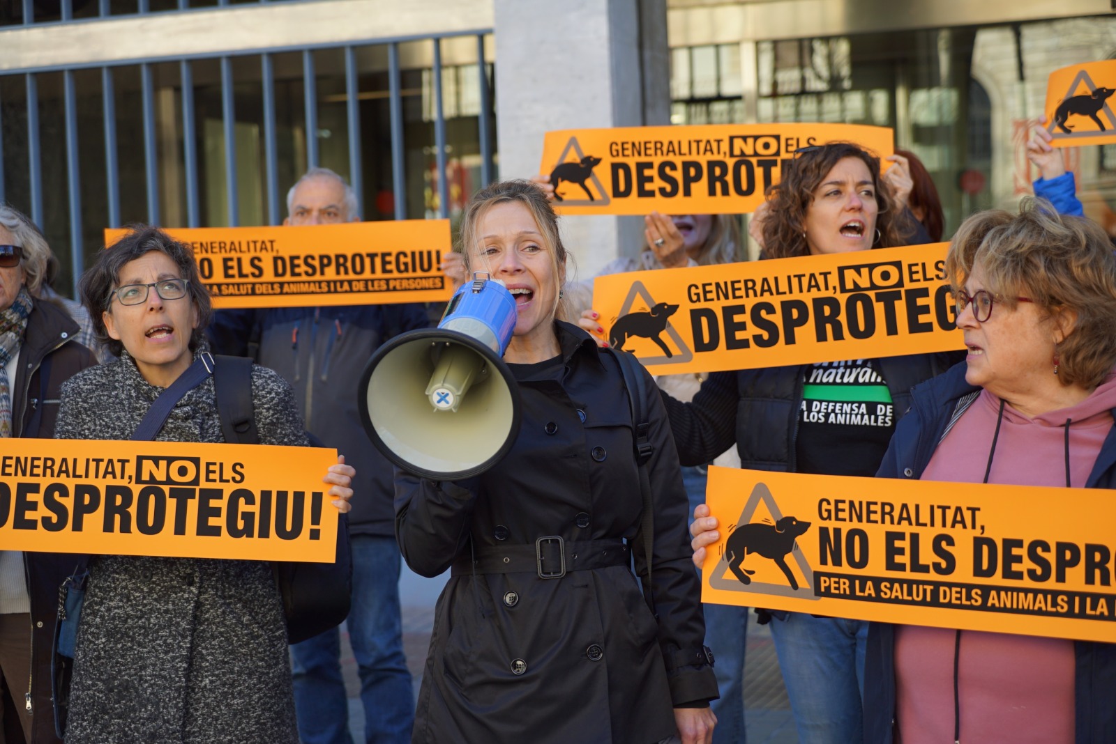 Cataluña se pone en la cola de España en protección animal y de control de la salud pública