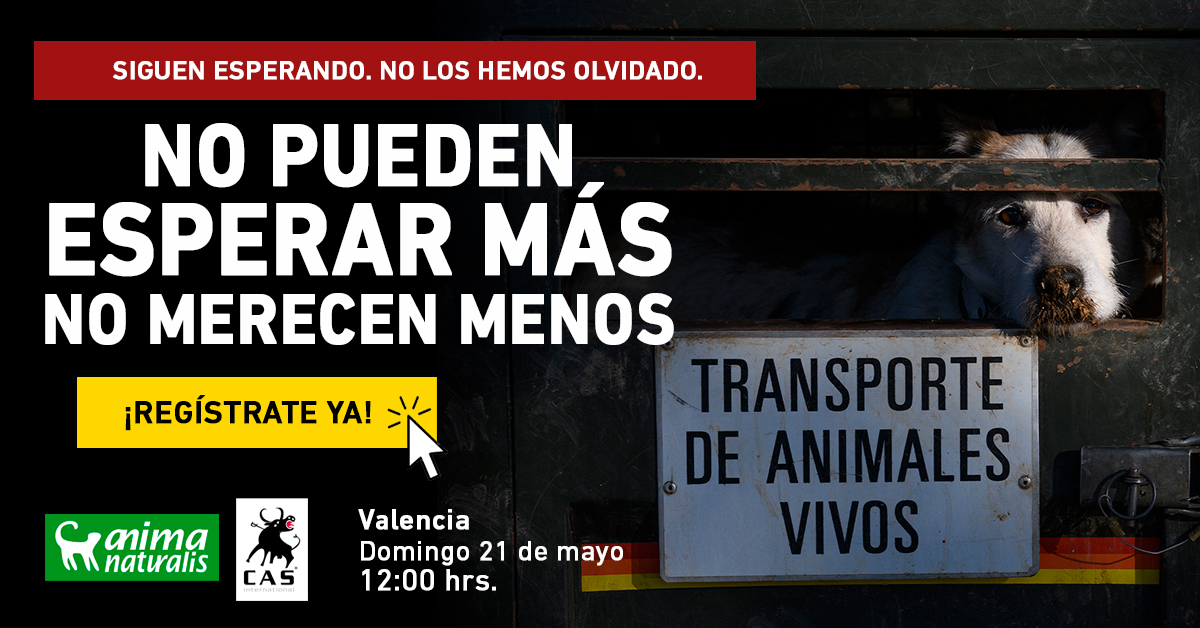 ¡Mostramos la realidad de las otras víctimas de la caza en Valencia!
