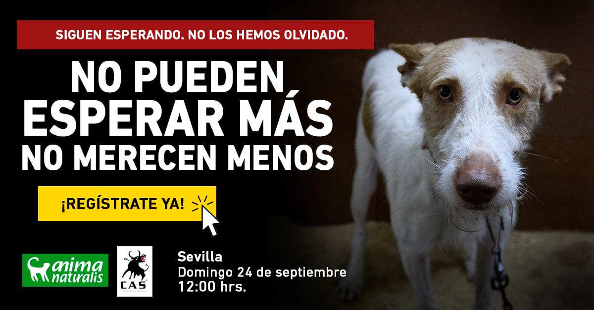 ¡Exponemos en Sevilla el horror que esconde la caza con perros!