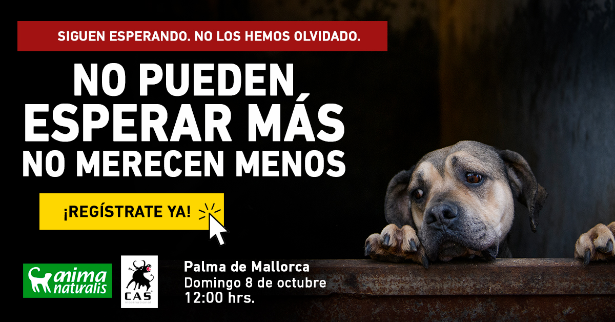¡Ven a dar voz a las otras víctimas de la caza en Palma de Mallorca!