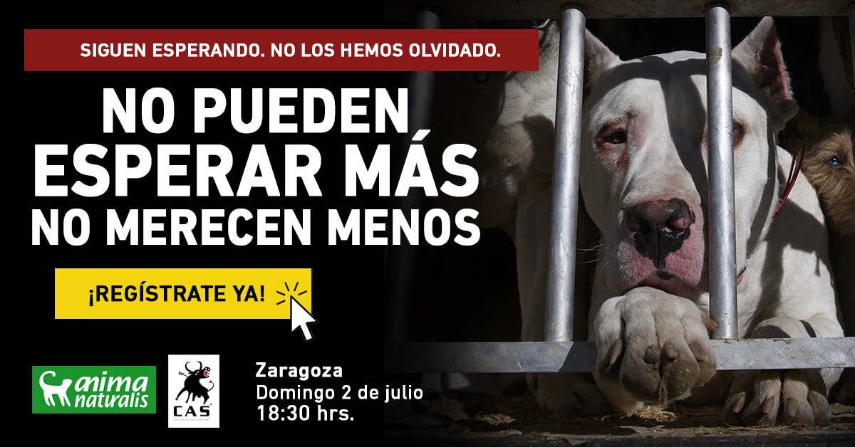 Acción en Zaragoza por el fin de la caza con perros
