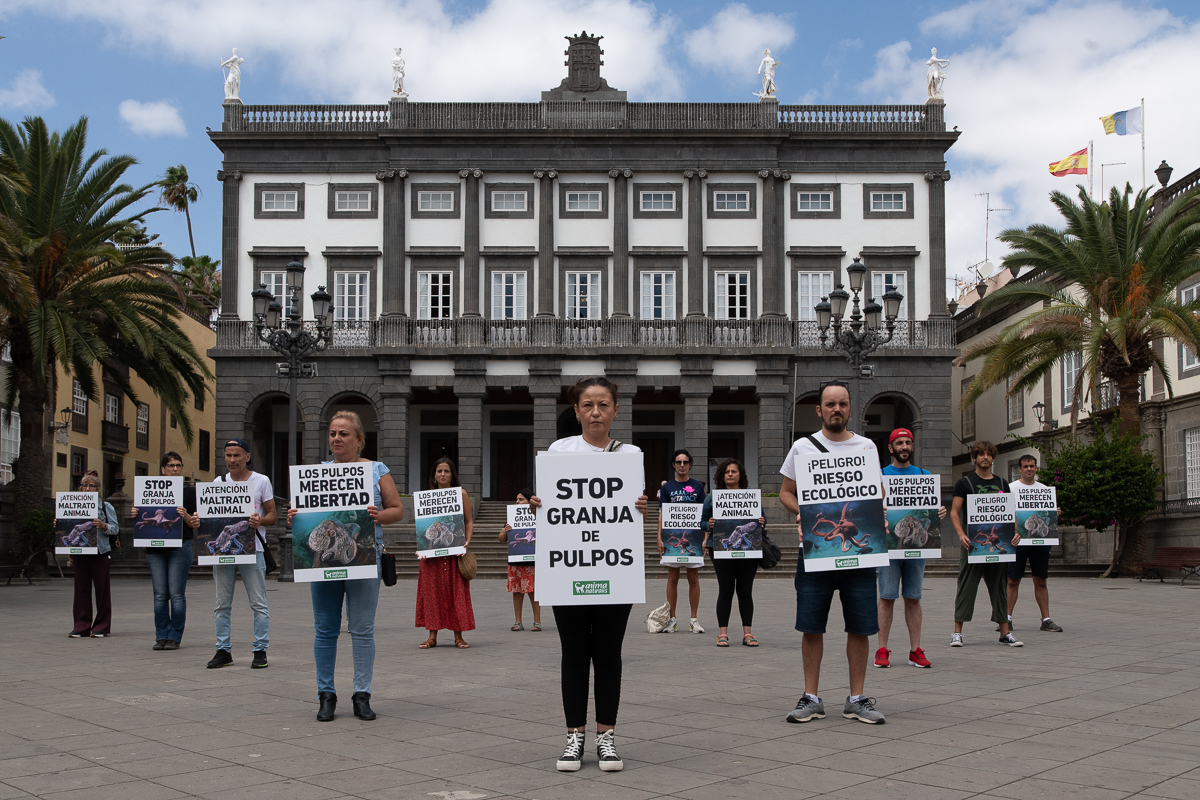 ¡Nos concentramos en Las Palmas para protestar contra la granja de pulpos!