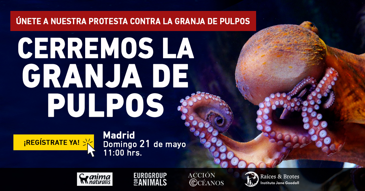¡Acción de protesta en Madrid contra la granja de pulpos de Nueva Pescanova!