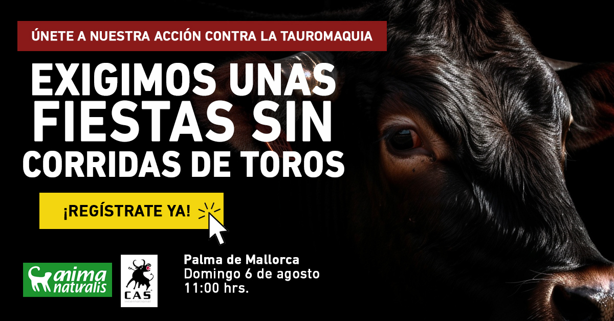Únete a la acción contra la feria taurina en Palma de Mallorca