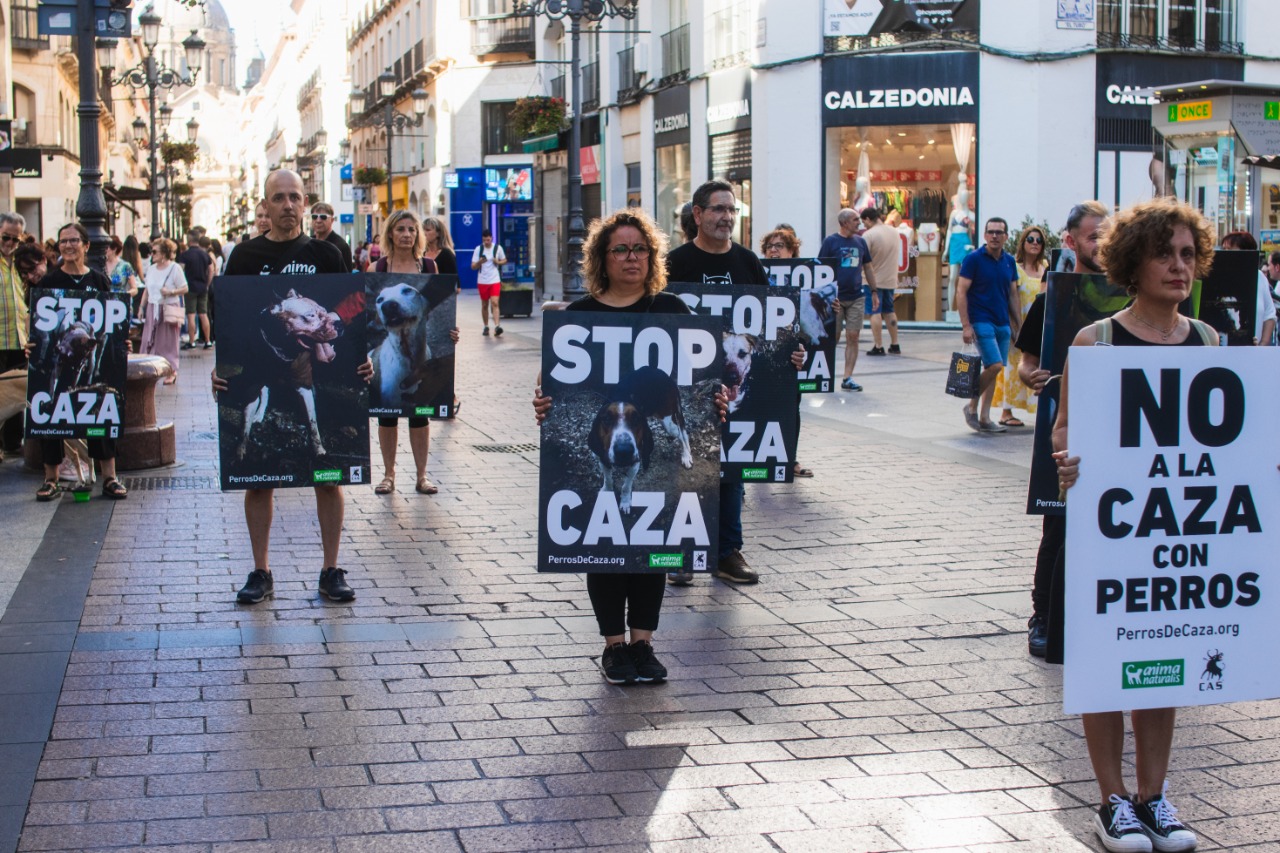 Activistas muestran la cruda realidad detrás de la caza con perros en Zaragoza