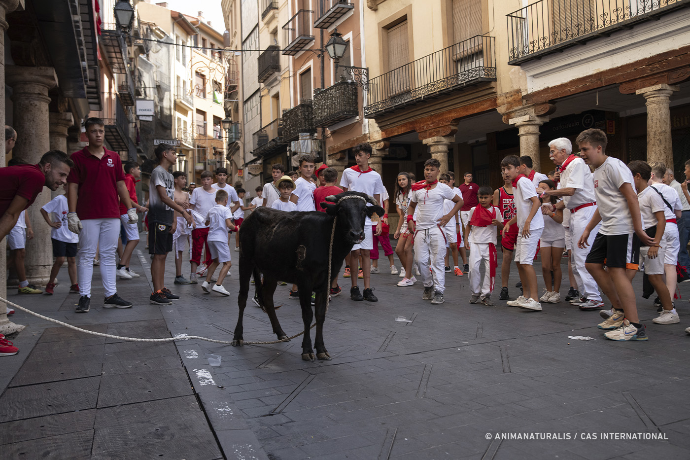 Teruel no protege a la infancia ni a los animales