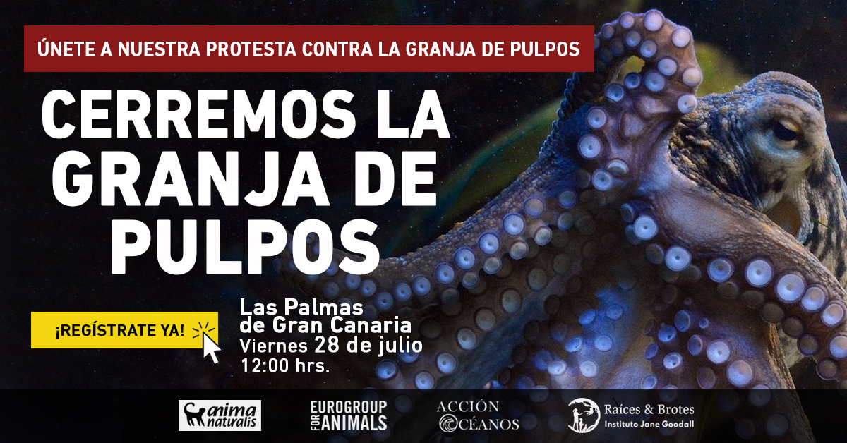 ¡Protesta contra la granja de pulpos en Las Palmas de Gran Canaria!