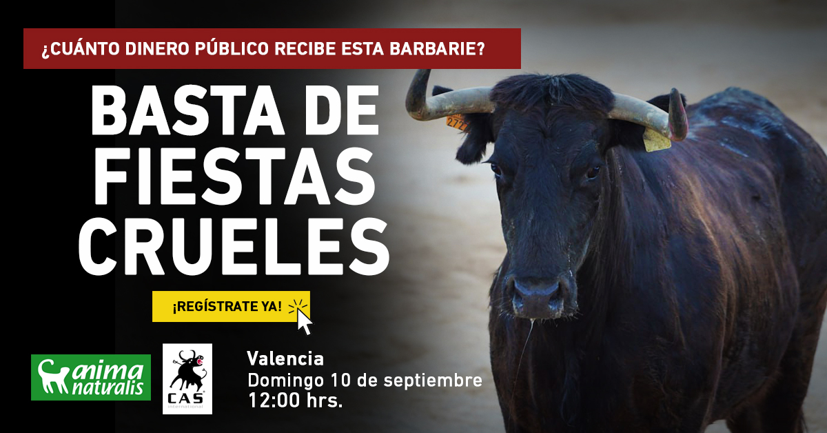 ¡Te esperamos en la acción de protesta contra las fiestas crueles, Valencia!