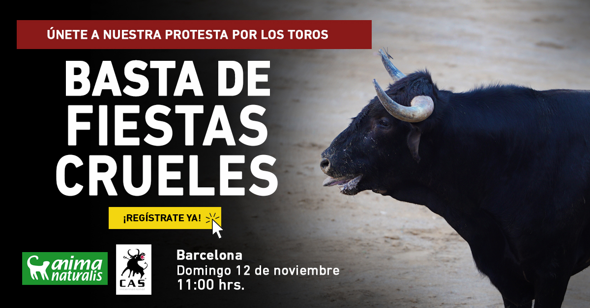 ¡Asiste a acción de protesta contra los espectáculos crueles con animales en Barcelona!
