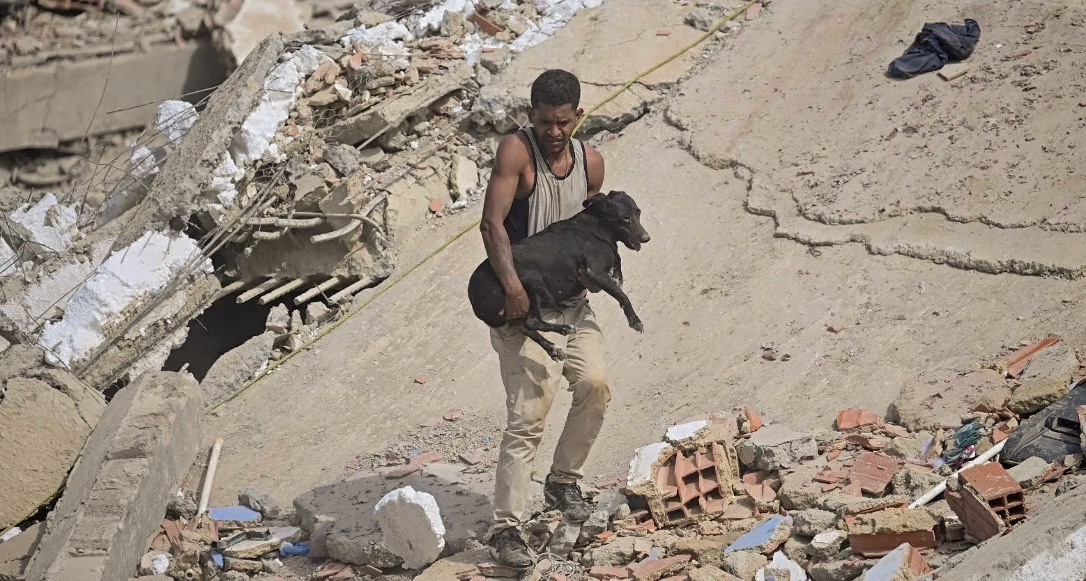 Los animales de Venezuela también necesitan tu ayuda
