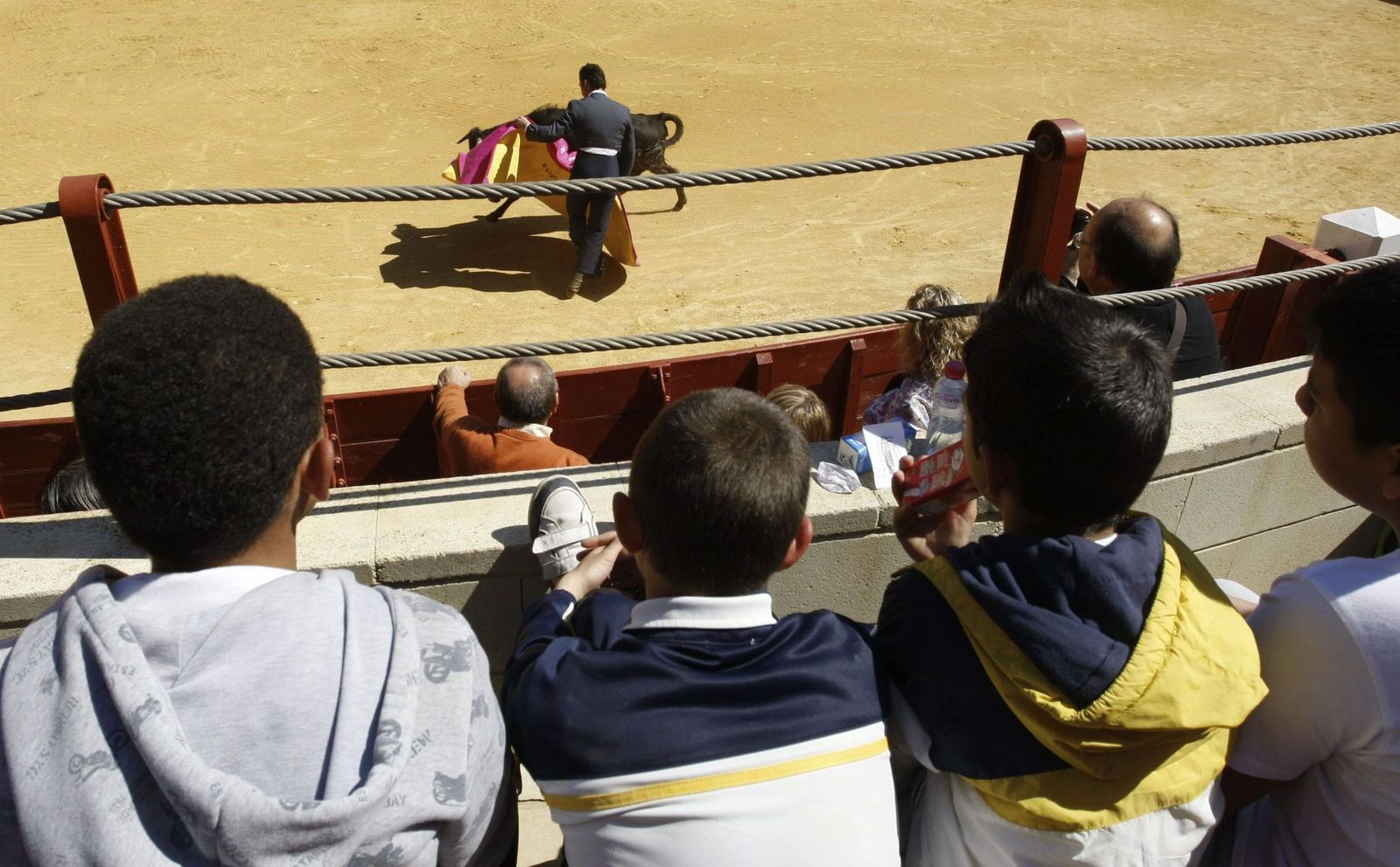 Participa en las alegaciones para que la ley proteja a la infancia de la violencia hacia los animales