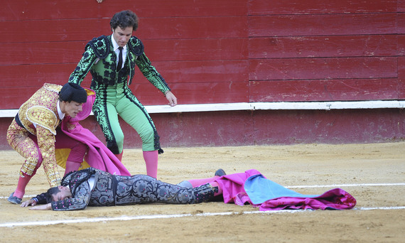 Government stops offering specific support to bullfighting