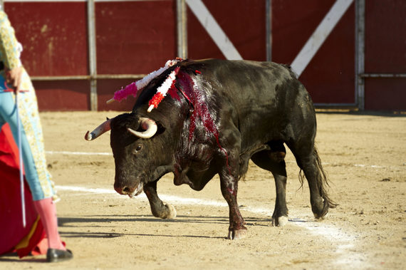 Madrid gives away €4.5 million in aid to bullfighting