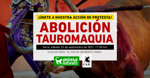 ¡Te esperamos en la acción antitaurina en Soria!
