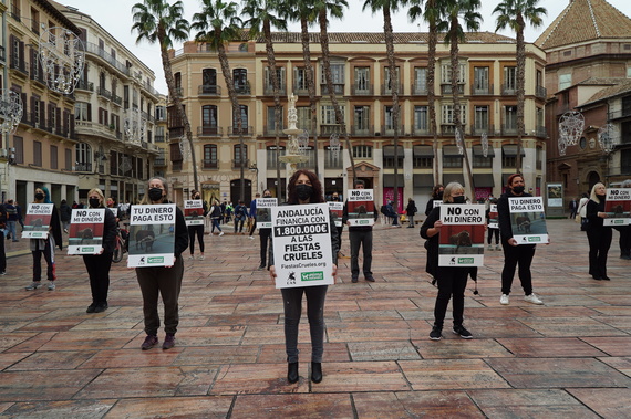 AnimaNaturalis exige que dejen de subvencionar los festejos crueles con animales en Andalucía
