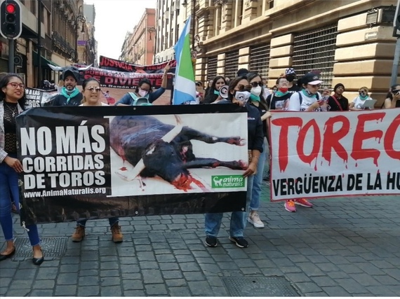 Protesta en el Congreso de la Ciudad de México sobre consulta a las corridas de toros 