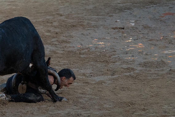 Trece personas y, al menos, ocho toros pierden la vida en fiestas populares este verano