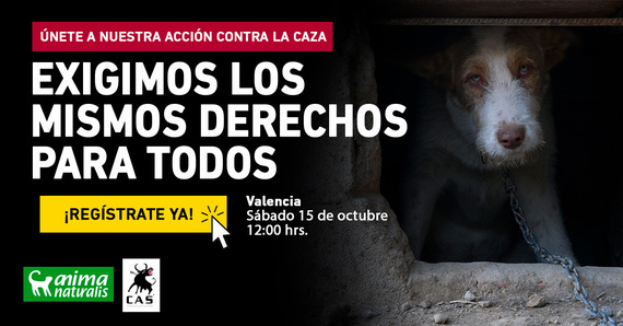 ¡Impactante protesta por las otras víctimas de la caza en Valencia!