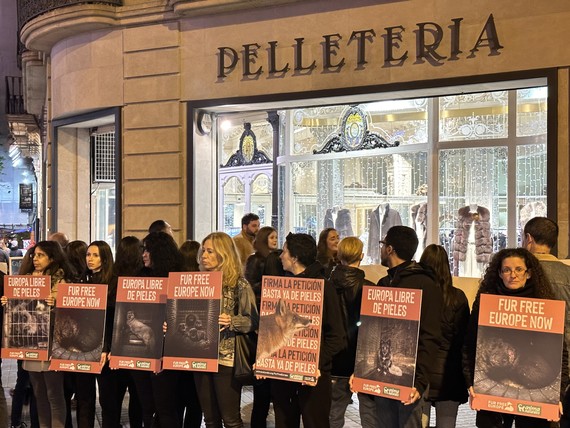 AnimaNaturalis protesta frente a la tienda de pieles más antigua de Barcelona