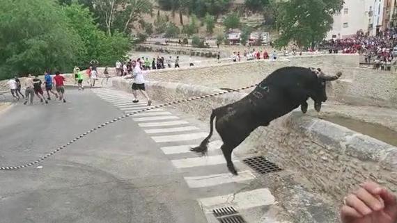 AnimaNaturalis denuncia la muerte de un toro en Ontinyent (Valencia)
