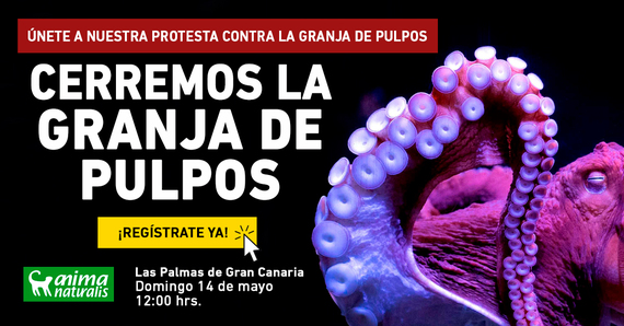 ¡Acción de protesta contra la granja de pulpos en Las Palmas de Gran Canaria!