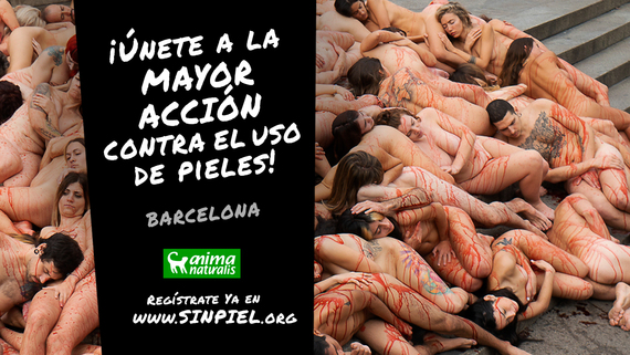 Llega la acción más esperada del año: ¡Nuestra protesta de gran impacto contra la industria peletera!