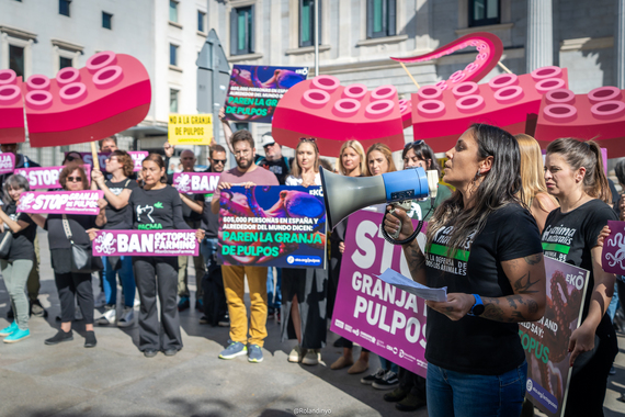 Naufragio del proyecto de la granja de pulpos de Las Palmas
