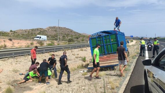 Descubrimiento de capeas ilegales en Alicante tras la fuga de una vaquilla Descubrimiento de capeas ilegales en Alicante tras la fuga de una vaquilla