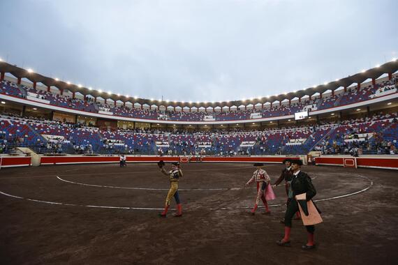 Bullfighting collapses in Spain despite subsidies and institutional support