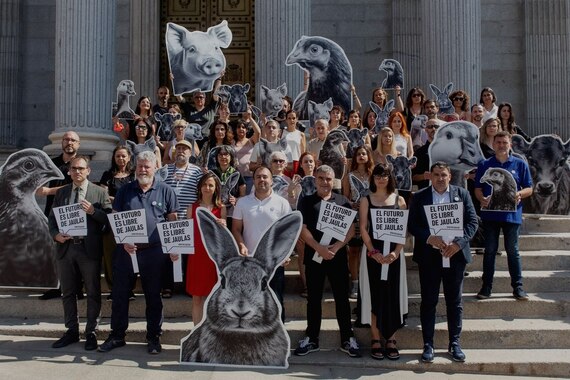 Activistas y políticos exigen una Europa libre de jaulas
