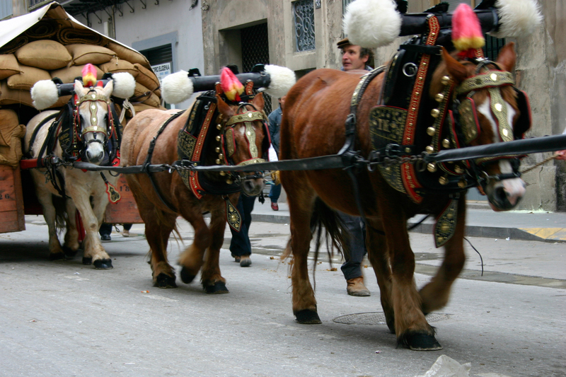 La cabalgata de los Tres Tombs enfrenta su mayor crisis ética de los últimos tiempos