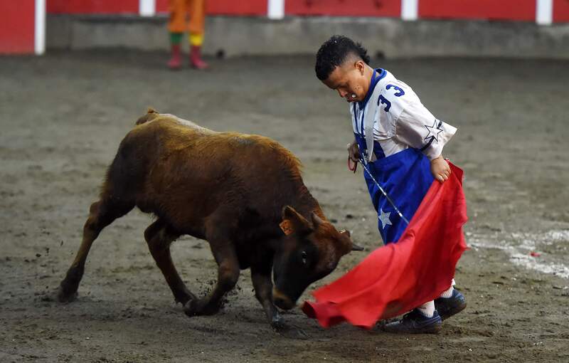 Government bans bullfighting shows that humiliate people with disabilities