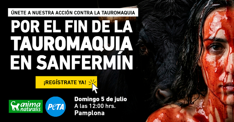 Este San Fermín, defiende a los animales en Pamplona