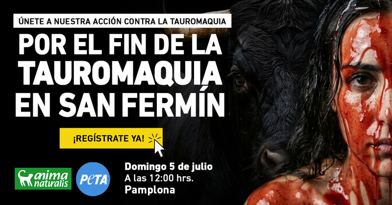 Este San Fermín, defiende a los animales en Pamplona